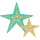 Starfish Icon